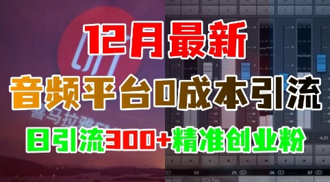 12月最新:音频平台0成本引流,日引流300+精准创业粉插图 12月最新:音频平台0成本引流,日引流300+精准创业粉