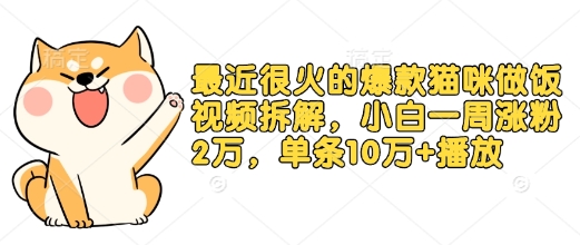 最近很火的爆款猫咪做饭视频拆解,小白一周涨粉2万,单条10万+播放(附保姆级教程)插图 最近很火的爆款猫咪做饭视频拆解,小白一周涨粉2万,单条10万+播放(附保姆级教程)