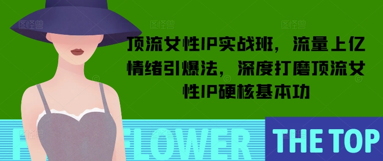 顶流女性IP实战班,流量上亿情绪引爆法,深度打磨顶流女性IP硬核基本功插图 顶流女性IP实战班,流量上亿情绪引爆法,深度打磨顶流女性IP硬核基本功