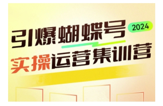 引爆蝴蝶号实操运营,助力你深度掌握蝴蝶号运营,实现高效实操,开启流量变现之路插图 引爆蝴蝶号实操运营,助力你深度掌握蝴蝶号运营,实现高效实操,开启流量变现之路