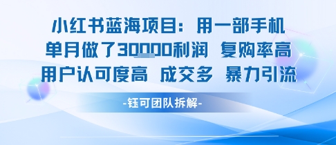小红书蓝海项目,一部手机单月做了3W利润,小白也能月入过1W用户认可度高成交多插图 小红书蓝海项目,一部手机单月做了3W利润,小白也能月入过1W用户认可度高成交多